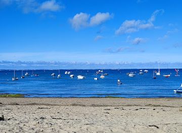 france/vendée-coast/attraction/plage-du-vieil