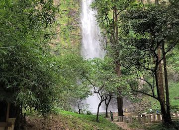 togo/lake-togo-area/attraction/cascade-de-yikpa