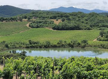 italy/maremma/attraction/rocca-di-frassinello