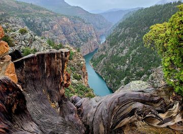 colorado/uncompahgre-plateau/attraction/pioneer-lookout-point