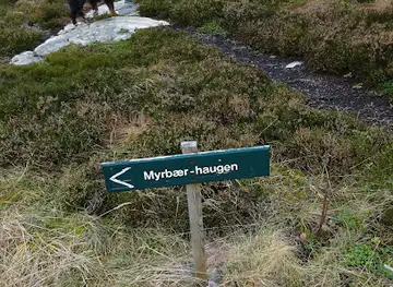 Myrbærhaugen