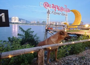 laos/golden-triangle/attraction/flower-farm