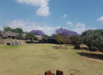 south-africa/north-west/attraction/croc-city-crocodile-reptile-park