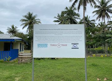 tonga/eua-island/attraction/toloa-rainforest