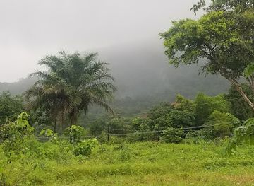 Western Area National Park