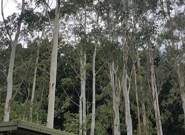 australia/northern-rivers/attraction/lismore-rainforest-botanic-gardens