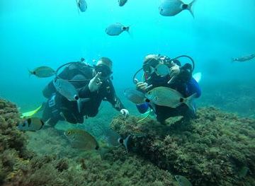 tunisia/monastir/attraction/el-kantaoui-diving-center