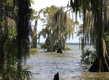 louisiana/river-parishes/attraction/brownell-memorial-park-carillon-tower