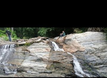 nigeria/gashaka-gumti-national-park/attraction/gashaka-gumti-national-park