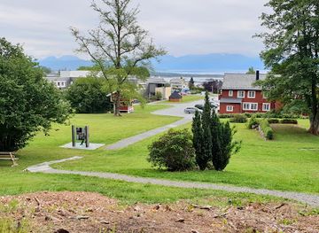 norway/molde/attraction/the-royal-birch