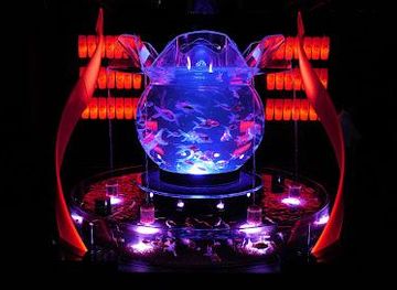 ART AQUARIUM MUSEUM