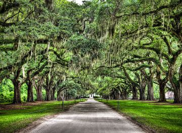 louisiana/plantation-country/attraction/hidden-adventure-swamp-plantation-tours