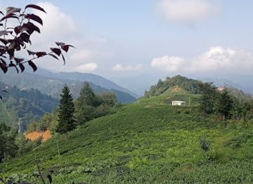 turkiye/trabzon/ortahisar/attraction/bay-panorama