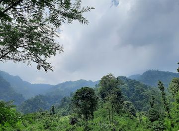 nepal/chitwan/attraction/gairibari-jharana