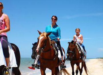 jamaica/negril/attraction/reggae-horseback-riding-tours