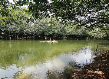 dominican-republic/sierra-de-neiba/attraction/humedales-del-ozama-national-park