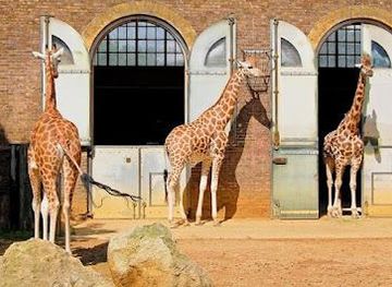united-kingdom/london/attraction/london-zoo