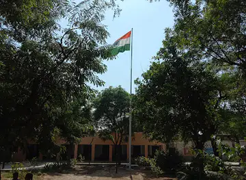 Indian Flag