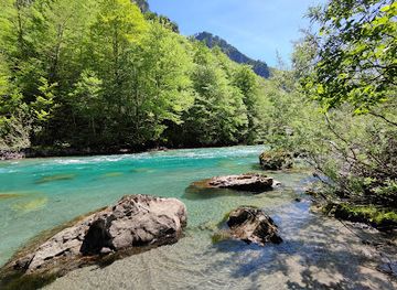 montenegro/tara-river-valley/attraction/info-rafting-tara