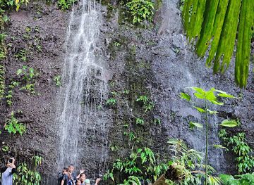 philippines/mt-apo/attraction/pilan-river-eco-park-foot-bridge