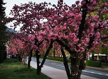 slovenia/zasavje/attraction/mestni-park
