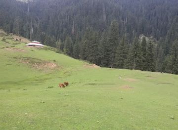 pakistan/swat/attraction/jarogo-meadows