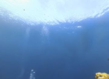 indonesia/pulau-bunaken/attraction/duiklocatie-fukui-point