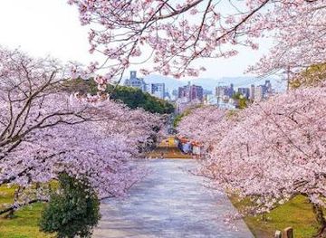 japan/fukuoka/attraction/nishi-park