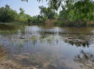 mexico/tamaulipas-coast/attraction/estero-llano-grande-state-park