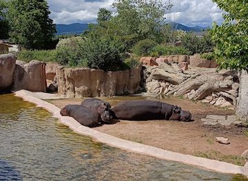 italy/val-di-susa/attraction/isola-dei-lemuri-zoom-torino