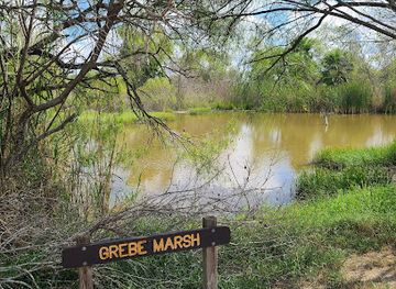 texas/red-river-valley/attraction/estero-llano-grande-state-park