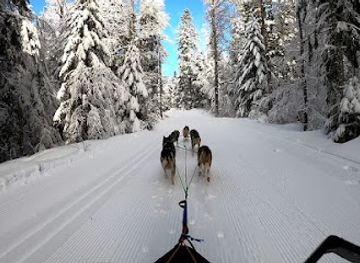 france/vercors-regional-natural-park/attraction/wood-track-chiens-de-traineaux-vercors