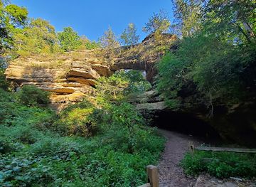 wisconsin/driftless-area/attraction/natural-bridge-state-park