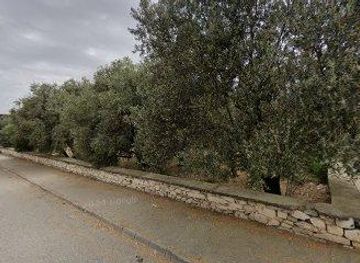 turkiye/pamukkale/attraction/afrodisias-muzesi-ve-oren-yeri