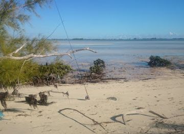 the-bahamas/andros-island/attraction/crab-replenishment-reserve