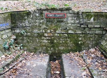 hungary/tatabanya/attraction/janos-forras