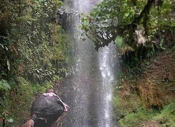 panama/volcan/attraction/bajo-monod-camping-site-boquete