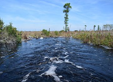 north-carolina/sandhills/attraction/holly-shelter-game-land