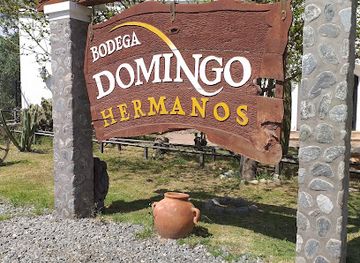 argentina/western-argentina/attraction/bodega-domingo-hermanos
