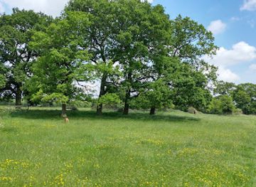 united-kingdom/cambridgeshire/attraction/giant-s-hill