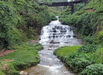 sri-lanka/horton-plains-national-park/attraction/nanu-oya-water-falls-nanu-oya