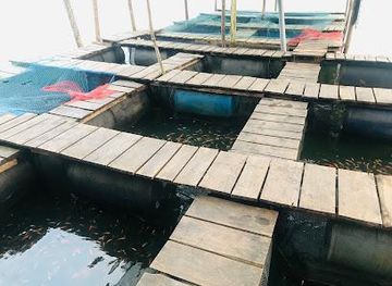 sri-lanka/unawatuna/attraction/madu-ganga-boat-safari-madu-river