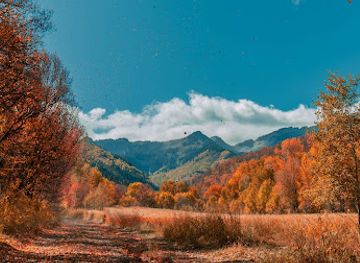 utah/uinta-wasatch-cache-national-forest/attraction/big-springs-park