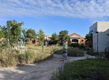 north-carolina/cape-fear-coast/attraction/cape-fear-museum-of-history-and-science