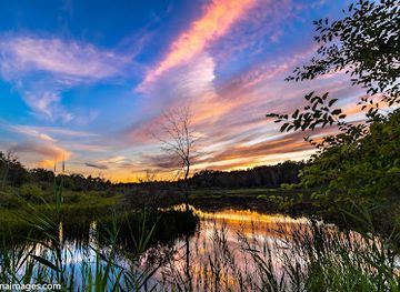 michigan/the-thumb/attraction/sand-point-nature-preserve