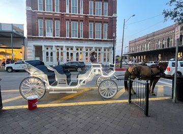 texas/galveston/attraction/galveston-carriage-tours-by-sacred-spur-carriage