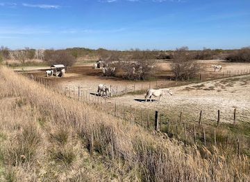france/camargue/attraction/marshes-nature-reserve-vigueirat