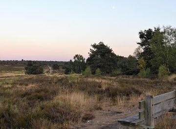 netherlands/sallandse-heuvelrug-national-park/attraction/rododendron-tuin