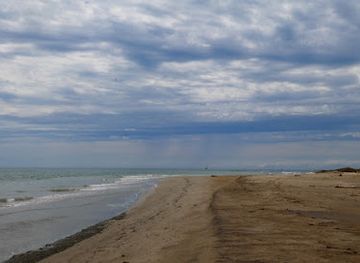 france/camargue/attraction/camargue-confidentielle-beauduc