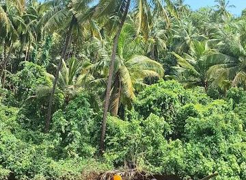 india/panaji/attraction/goa-kayaking
